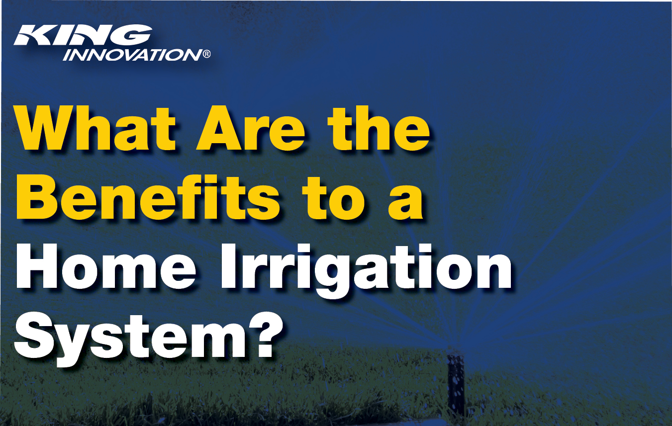 Posted on 6/20/2023 35700 PM